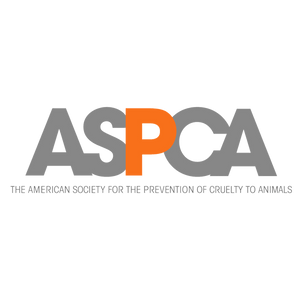 Partner organisation